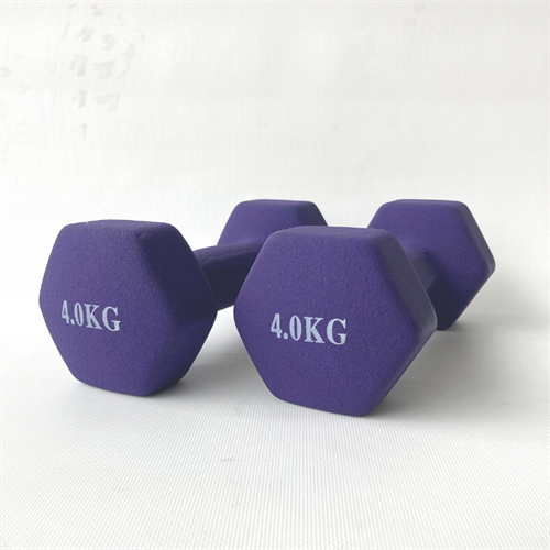 ASG Neoprene Håndvægte 2x4 kg i lilla